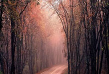 后续会如何调整?奥萨苏纳未来两场西甲现安排在27日和28日.