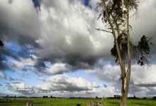 [乒乓球]深圳大学领跑乒超女团.
