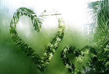 [天下足球]B费双响 曼联战平伯恩茅斯.：超凡国际