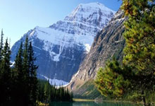 [天下足球]哈兰德点射 曼城主场大胜卢顿.