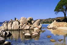 [天下足球]哈兰德点射 曼城主场大胜卢顿.